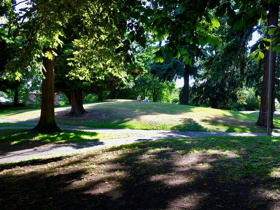 Meditation in the Park